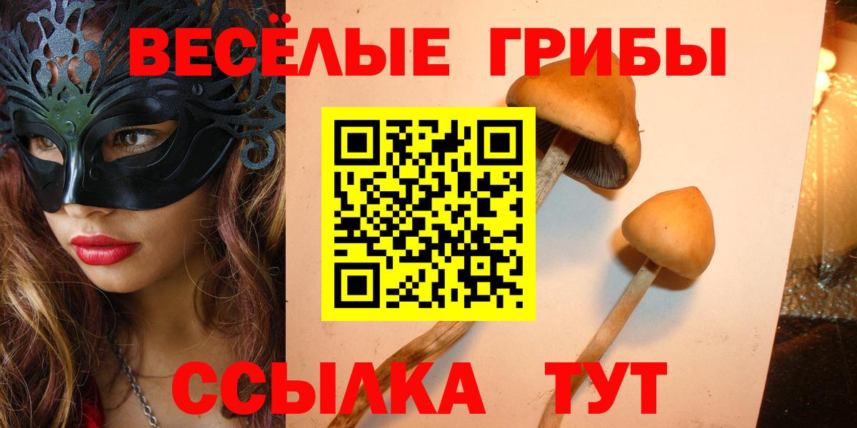 Галлюциногенные грибы ЛСД  Вход с VPN  Галлюциногенные грибы GOLDEN TEACHER  Балаково 