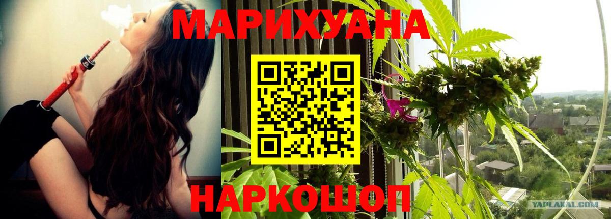 Бошки Шишки гибрид Балаково